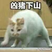 哒哒哒fa官