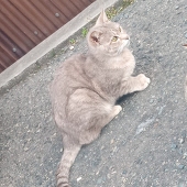 きさらさん