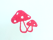 きのこ