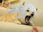 奇数