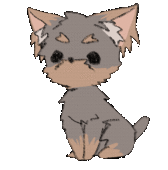 犬糞