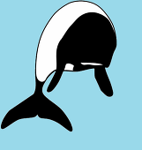 tetetu