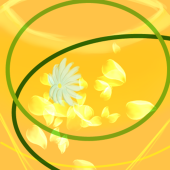 秋桜