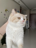 CaTPeRsoN
