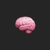 noumiso