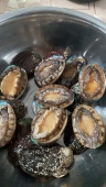 刘大脑袋