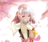 シロハ