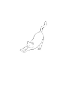 蔥