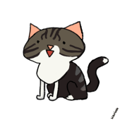 ray