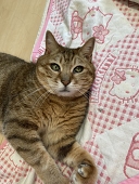 Min