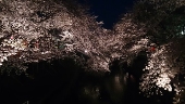 hana-ya