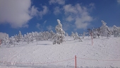 nasu