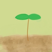 えりか
