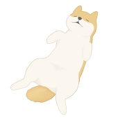 ネココ