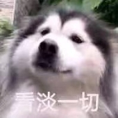 秦祈