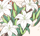 草むら