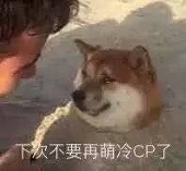 快乐小狗