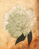 七尾
