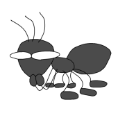 佳虫