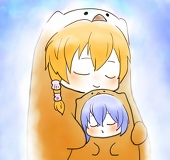 葵