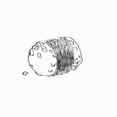 グルメたみや