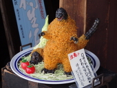 hikari