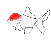 ぴゆむ