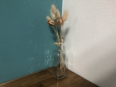 ゆず