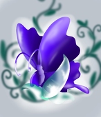 Gho Ca