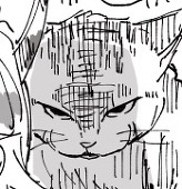 こぬ