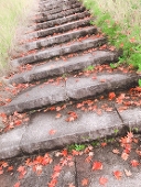 藍