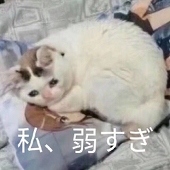 秀秀呀