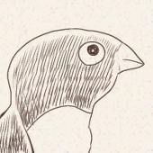 蓬