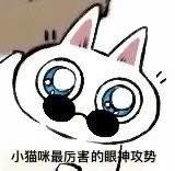 トト