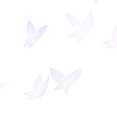 ゆう