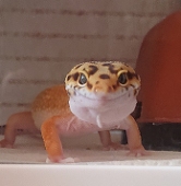 warm