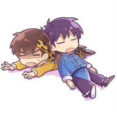 せたな