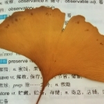 寂しい