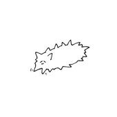 花 岩