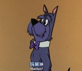 柴田豺