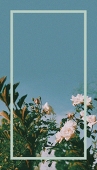 十華
