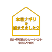 官ナギウェブオンリー