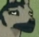 河犬