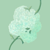 宮緒