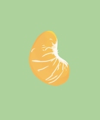 生みかん