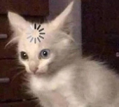 。