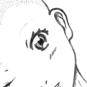 BeautifulBald