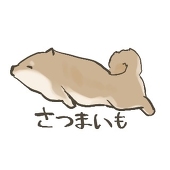やのかけ🐕