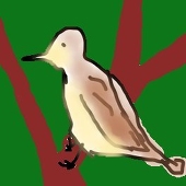 セッカ