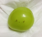 木枯※異主役ドク科ドハマり中。